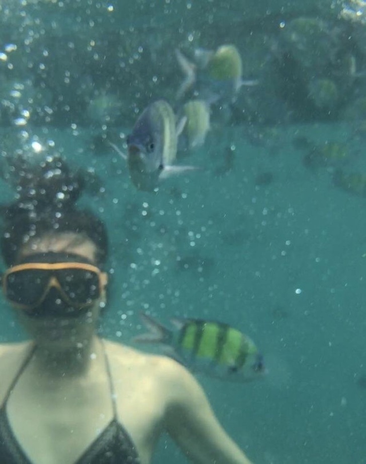 Illustration de l'article : Ces 18 photos où l’arrière-plan a concentré toute l'attention