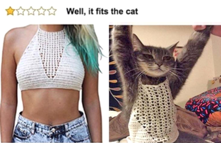 Illustration de l'article : Ces 19 photos d'une vie parfois injuste mais drôle