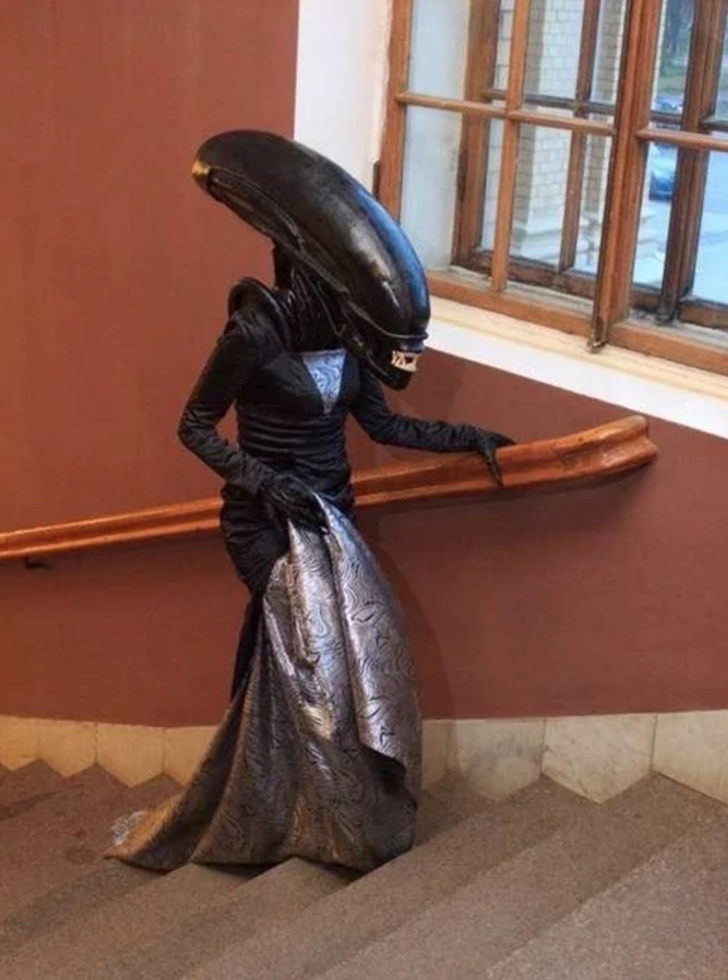 Illustration de l'article : Ces 16 photos d'un passe-temps particulier