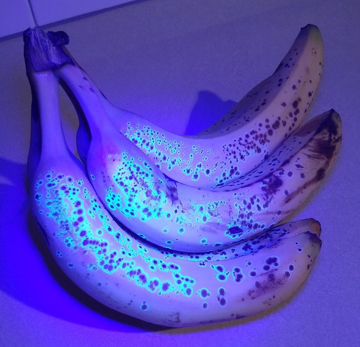 Illustration de l'article : Ces 20 personnes qui ont fait de bonnes trouvailles