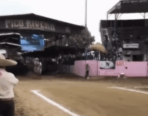 Illustration de l'article : Ces 21 photos de faits ou de curiosités rares