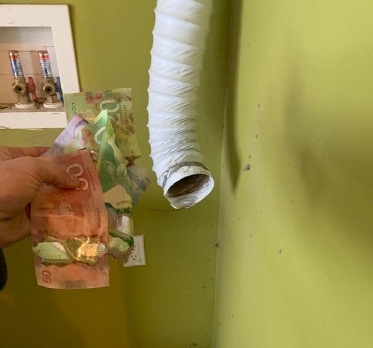 Illustration de l'article : Ces 17 photos illustrant les surprises rencontrées par de nouveaux locataires