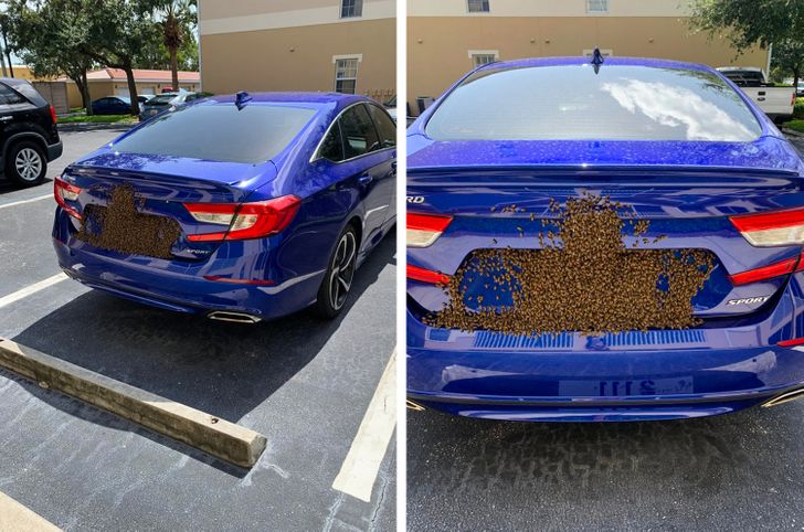 Illustration de l'article : Ces 18 photos qui donnent le frisson au premier coup d'oeil