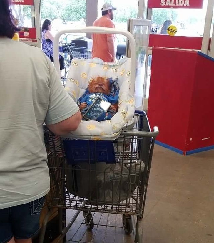 Illustration de l'article : Ces 15 personnes qui auraient dû rester dans leur lit ce jour-là