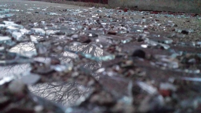 Illustration de l'article : 26 photos captivantes ayant été prises par erreur