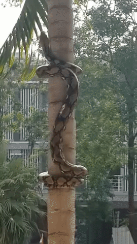 Illustration de l'article : Ces 24 curiosités prises en photos à travers le monde