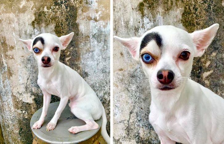 Illustration de l'article : Ces 20 photos illustrant les oeuvres insolites de la nature