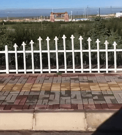 Illustration de l'article : Ces 25 photos font apparaître autre chose pour le cerveau