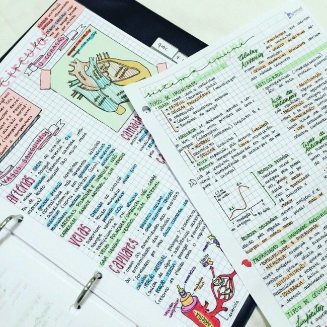 Illustration de l'article : 29 preuves que la perfection peut se trouver partout