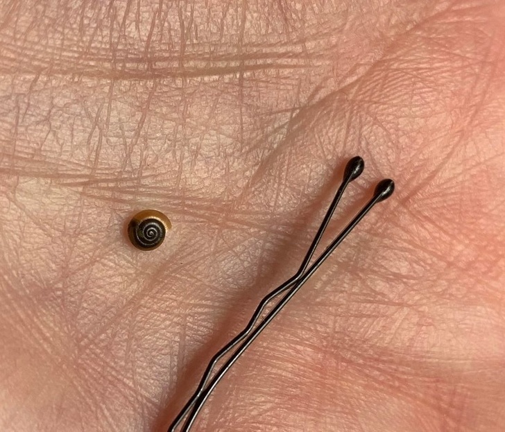 Illustration de l'article : Ces 19 exceptions qui ont marqué les auteurs de ces photos