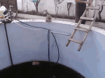 Illustration de l'article : 42 situations qui prouvent que le karma existe 