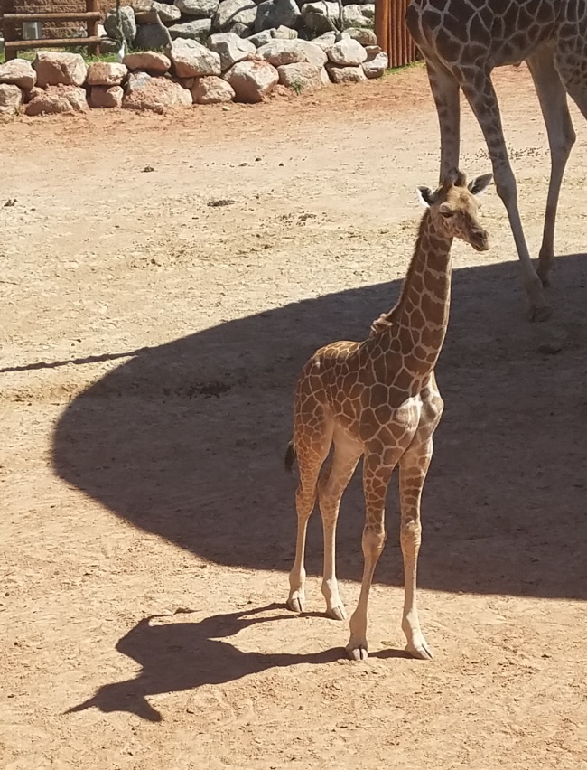 Illustration de l'article : 23 photos trompe-l’œil qui jouent avec l'illusion