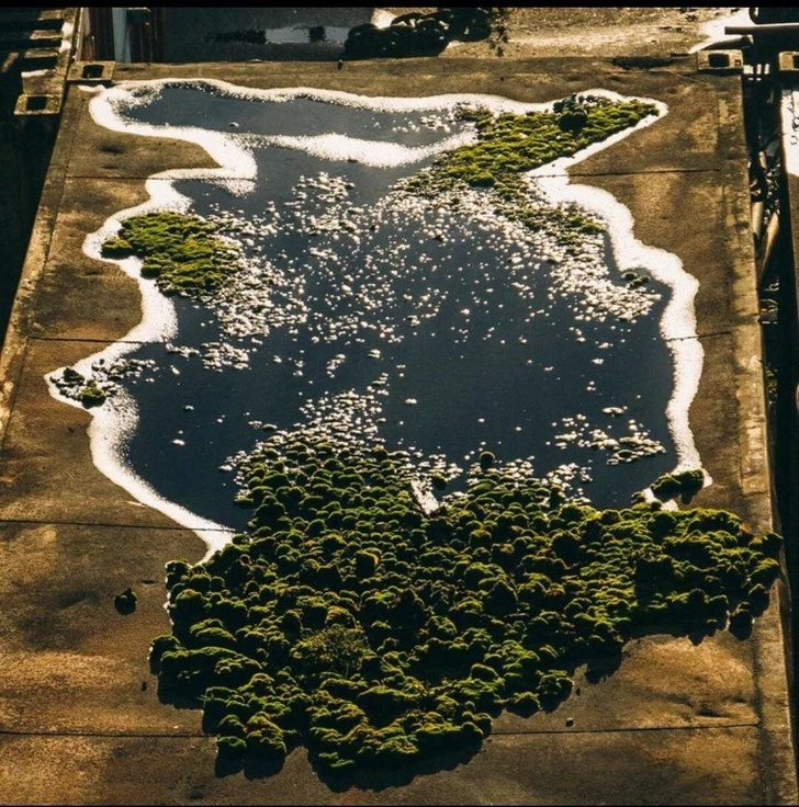 Illustration de l'article : Ces 20 trouvailles de la nature et de l'ing&eacute;nierie