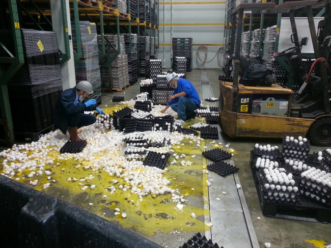 Illustration de l'article : 28 personnes ayant vécu le pire jour de leur vie au travail