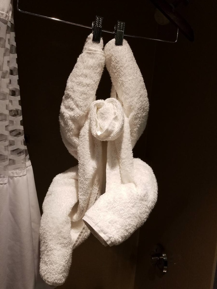 Illustration de l'article : Ces 14 photo qui remettent beaucoup de choses en cause