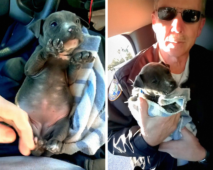 Illustration de l'article : Ces 22 actes de bonté dans le monde