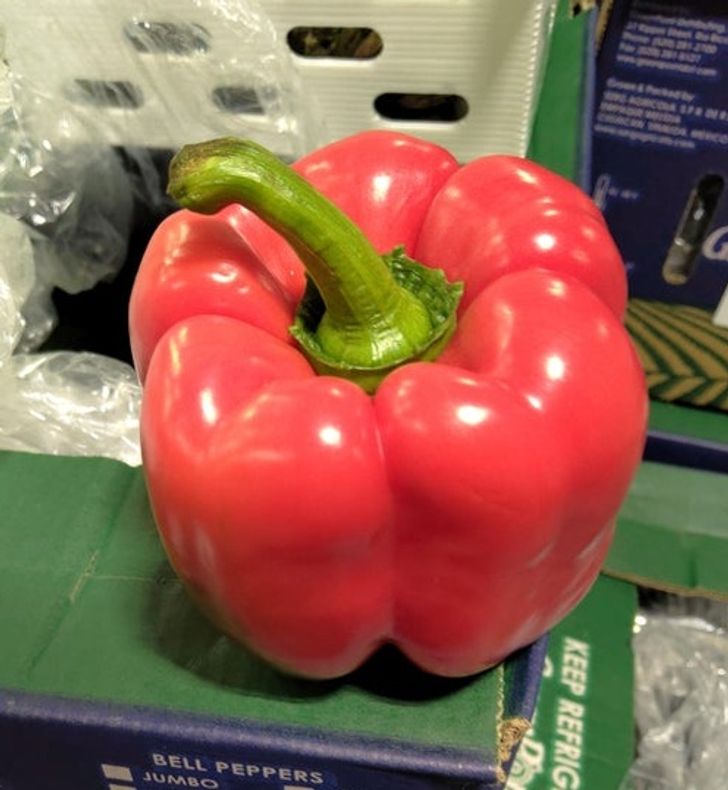 Illustration de l'article : Ces 19 photos qui illustrent la beaut&eacute; de la nature 