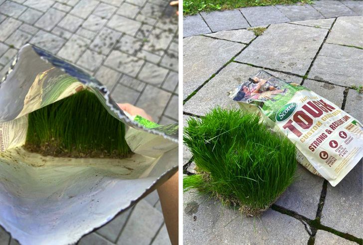 Illustration de l'article : Ces 19 découvertes insolites en tout genre