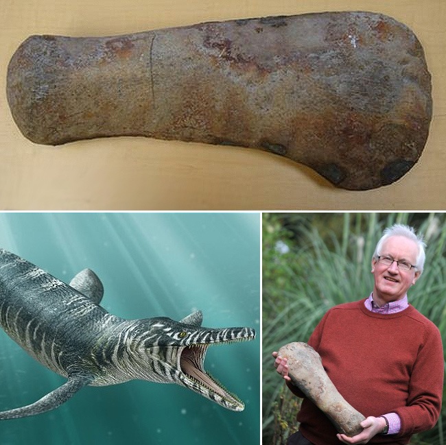 Illustration de l'article : 10 choses totalement hallucinantes que des gens ont retrouv&eacute; dans leur jardin 