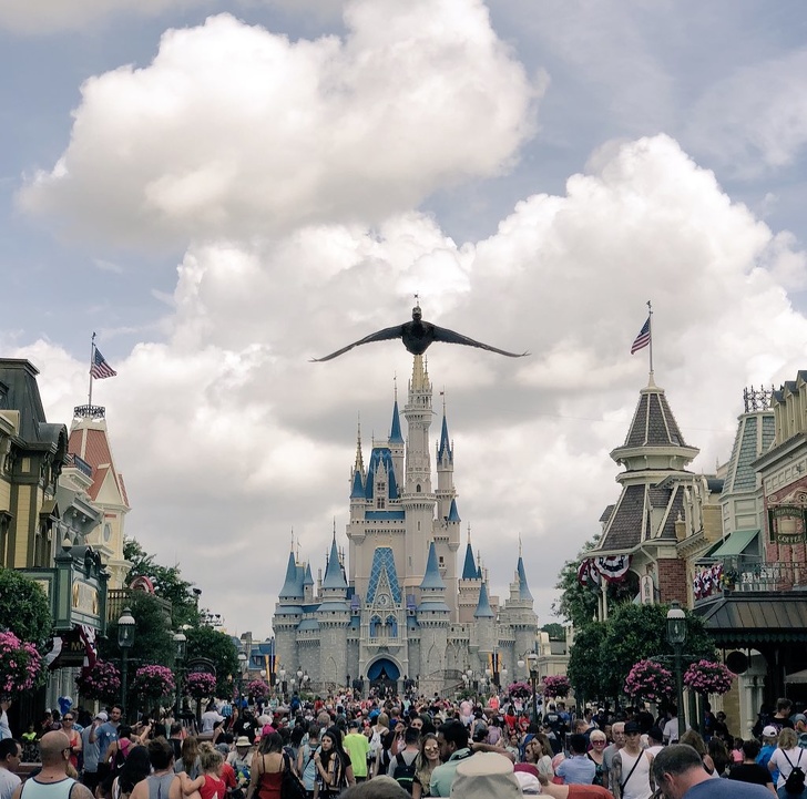 Illustration de l'article : Ces 26 photos qui montrent des situations prises au bon moment