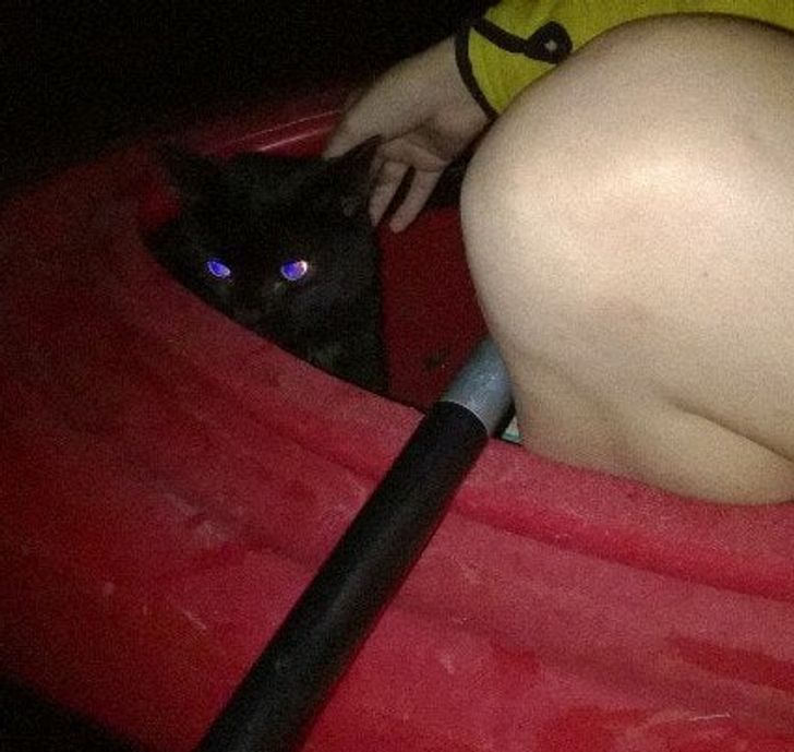 Illustration de l'article : Ces 20 photos qui montrent que certaines personnes adorent l'humour