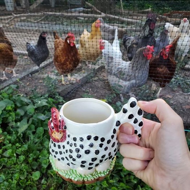 Illustration de l'article : Ces 19 photos de ce qu'on peut trouver de mieux dans les brocantes