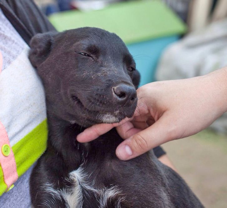 Illustration de l'article : Ces 20 personnes qui ont loué un logement de rêve pour leurs vacances