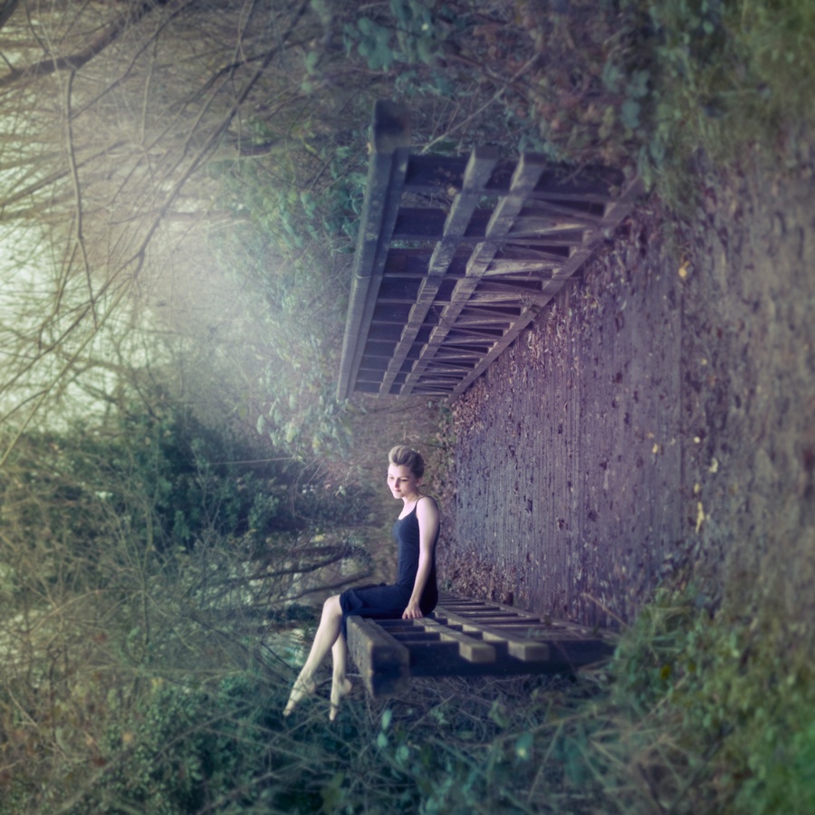 Illustration de l'article : 25 photos qu'il faut regarder 2 fois pour comprendre le sens