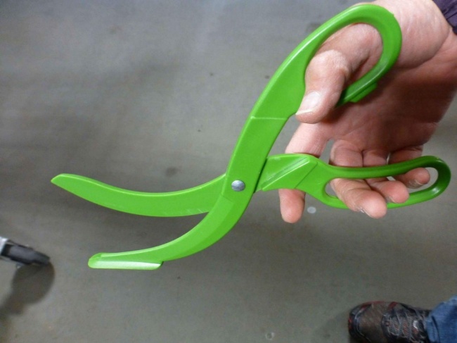 Illustration de l'article : 18 choses étranges que vous font découvrir les internautes