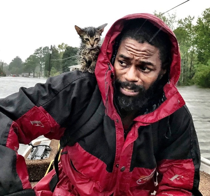 Illustration de l'article : Ces 19 photos qui transmettent la joie de vivre