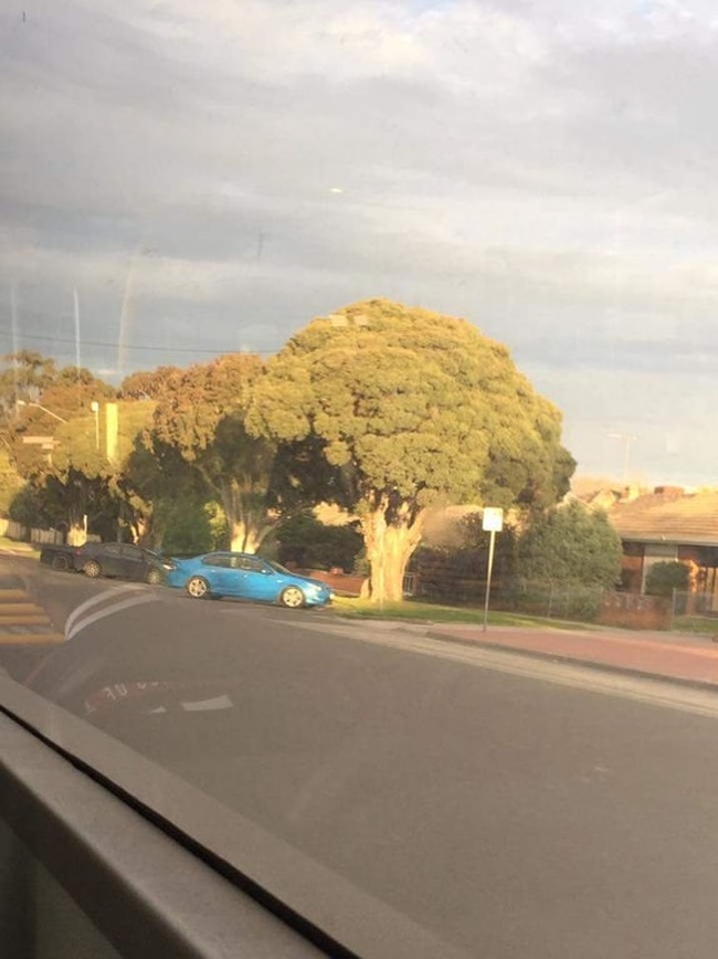 Illustration de l'article : Ces 22 curieux moments capturés au bon moment