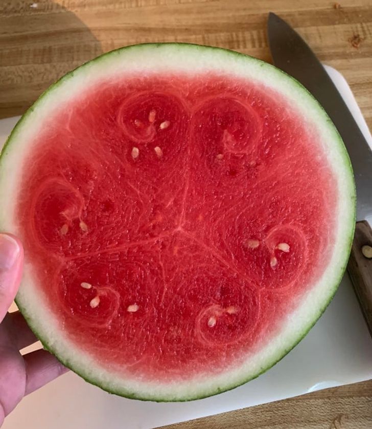 Illustration de l'article : Ces 15 photos qui raviront les perfectionnistes 