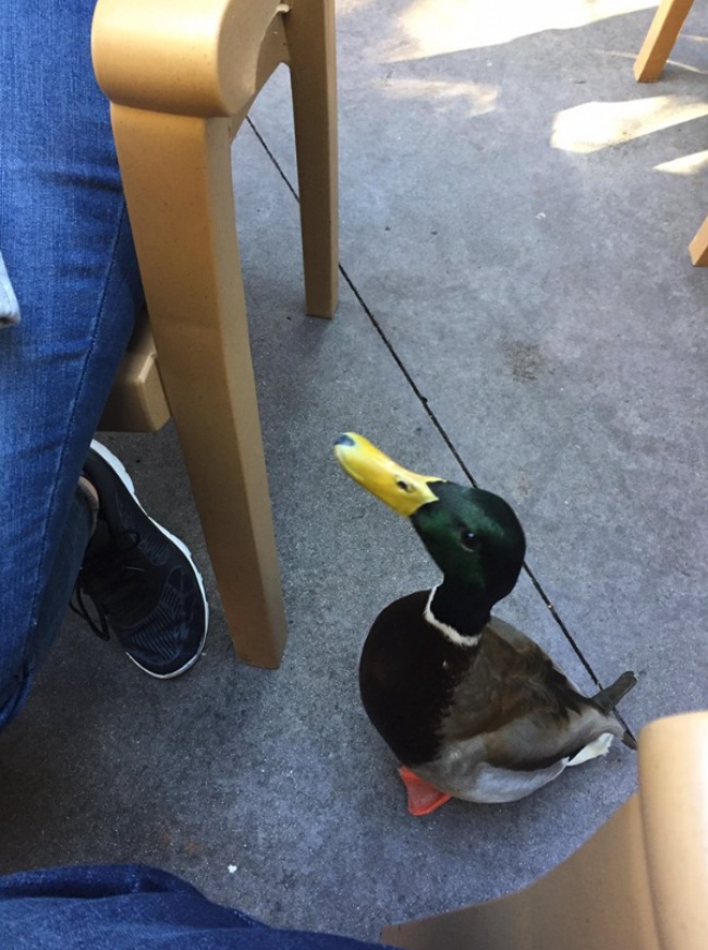 Illustration de l'article : 24 photos déroutantes où l'impensable s'est produit