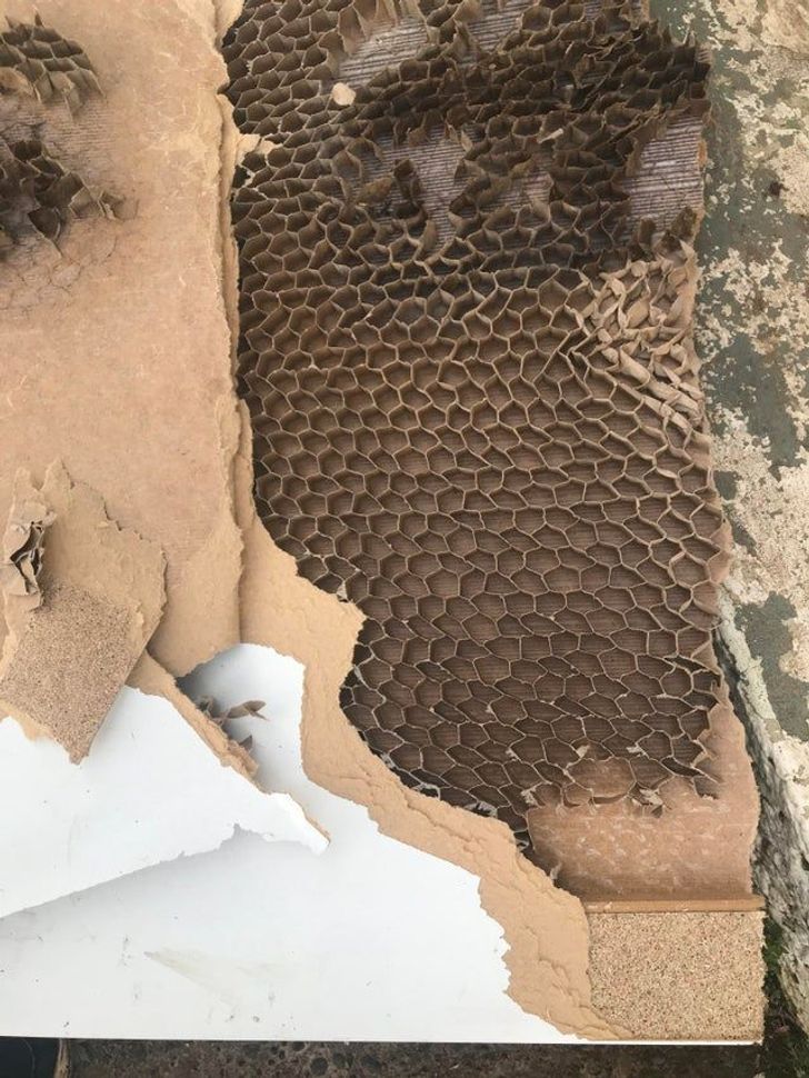 Illustration de l'article : Ces 18 situations comme on en rencontre rarement