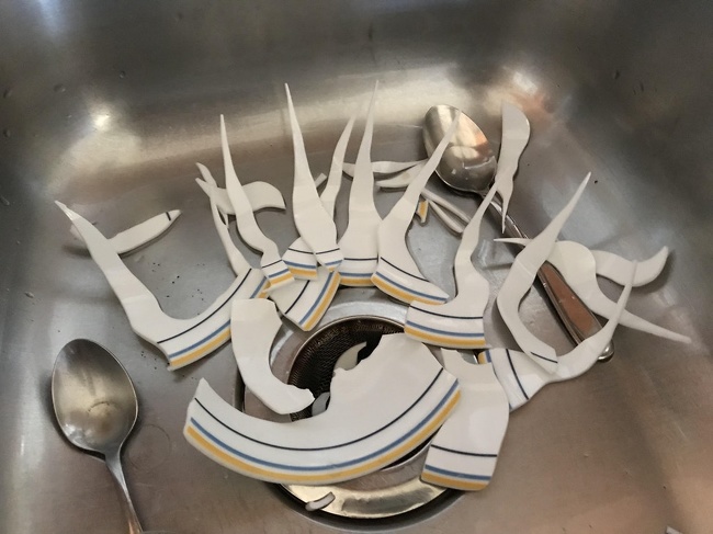 Illustration de l'article : Ces 27 curiosités immortalisées par un appareil photo