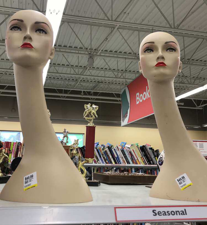 Illustration de l'article : Ces 18 objets originaux trouvés dans des brocantes et dépôts