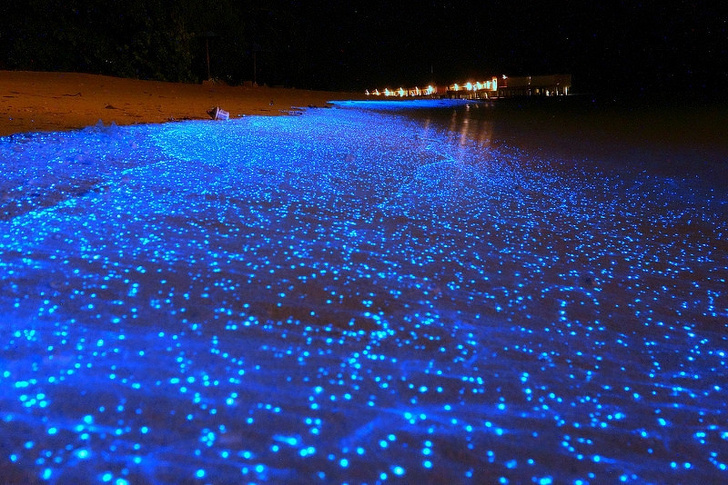 Illustration de l'article : Ces 21 images qui concurrencent Photoshop