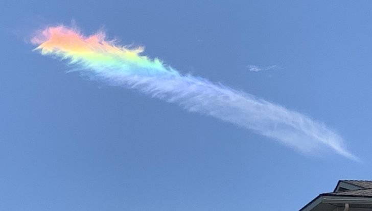 Illustration de l'article : Ces 20 personnes qui ont fait de bonnes trouvailles