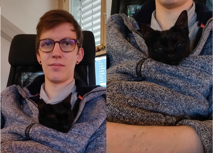 Illustration de l'article : Ces 17 photos d'animaux qui ont trouvé un foyer aimant