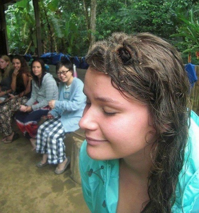 Illustration de l'article : 25 photos qui tromperont même les esprits les plus perspicaces