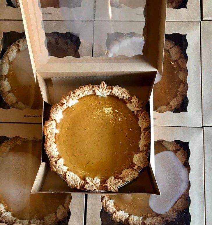 Illustration de l'article : Ces 20 personnes pour qui 2020 a été une bonne année