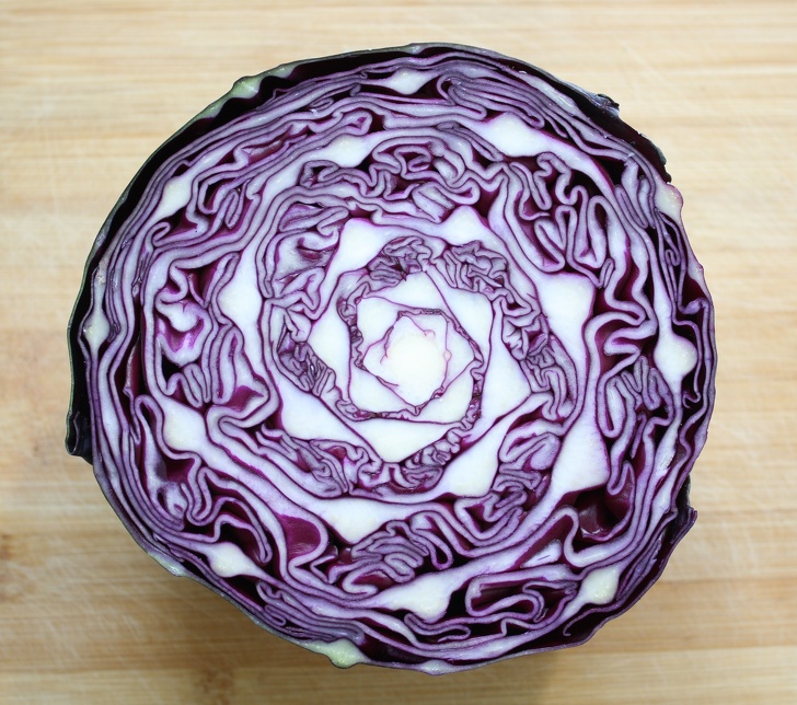 Illustration de l'article : Ces 25 choses coupées en deux pour y voir l'intérieur