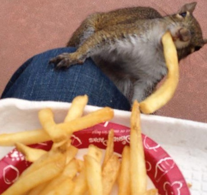 Illustration de l'article : Ces 17 photos prises au bon moment au bon endroit