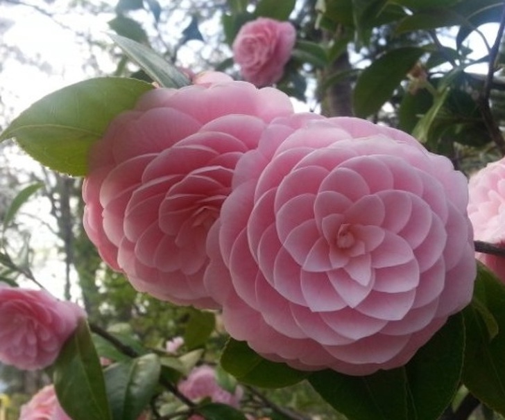 Illustration de l'article : Ces 24 photos de choses bien faites