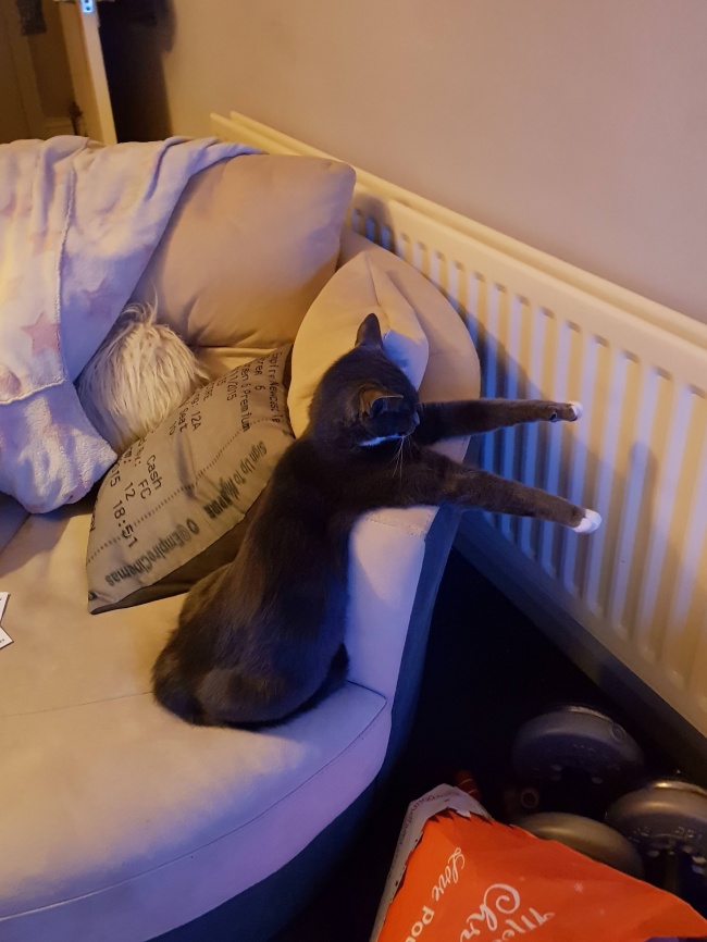 Illustration de l'article : 24 photos déroutantes où l'impensable s'est produit