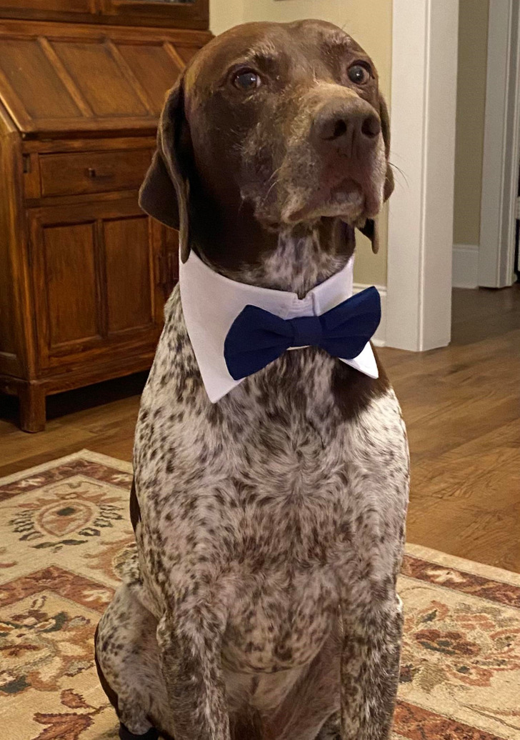 Illustration de l'article : Ces 15 photos qui illustrent des petits moments magiques de la vie