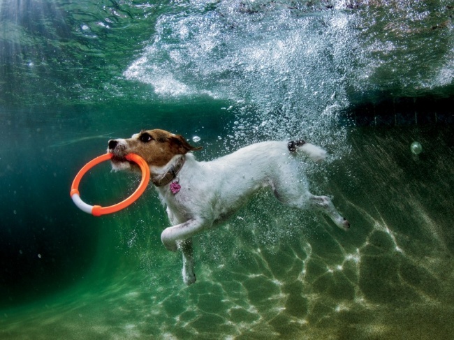 Illustration de l'article : 28 photos mémorables de National Geographic sur la beauté de la Terre
