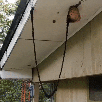 Illustration de l'article : Ces 29 photos curieuses qui révèlent le monde dans lequel nous vivons