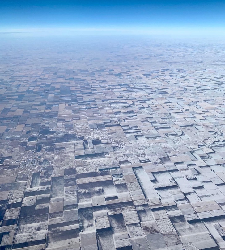 Illustration de l'article : Ces 20 photos qui ont été prises au plus parfait des moments