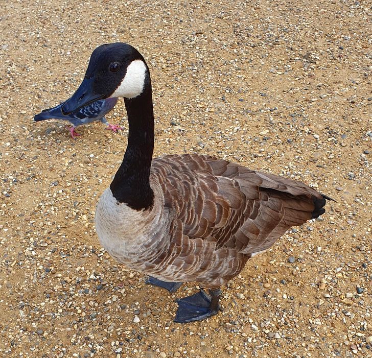 Illustration de l'article : Ces 20 photos qui ne sont pas ce qu'elles semblent &ecirc;tre